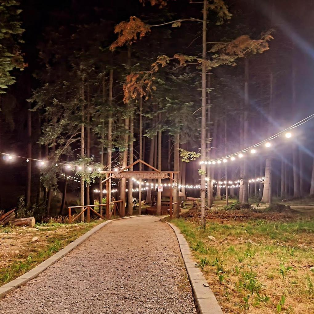 Mountain Studio Asp E63 Borovets Gardens Exterior photo